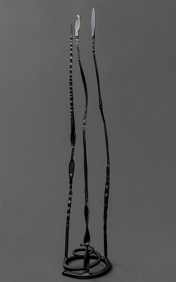 Collection Image