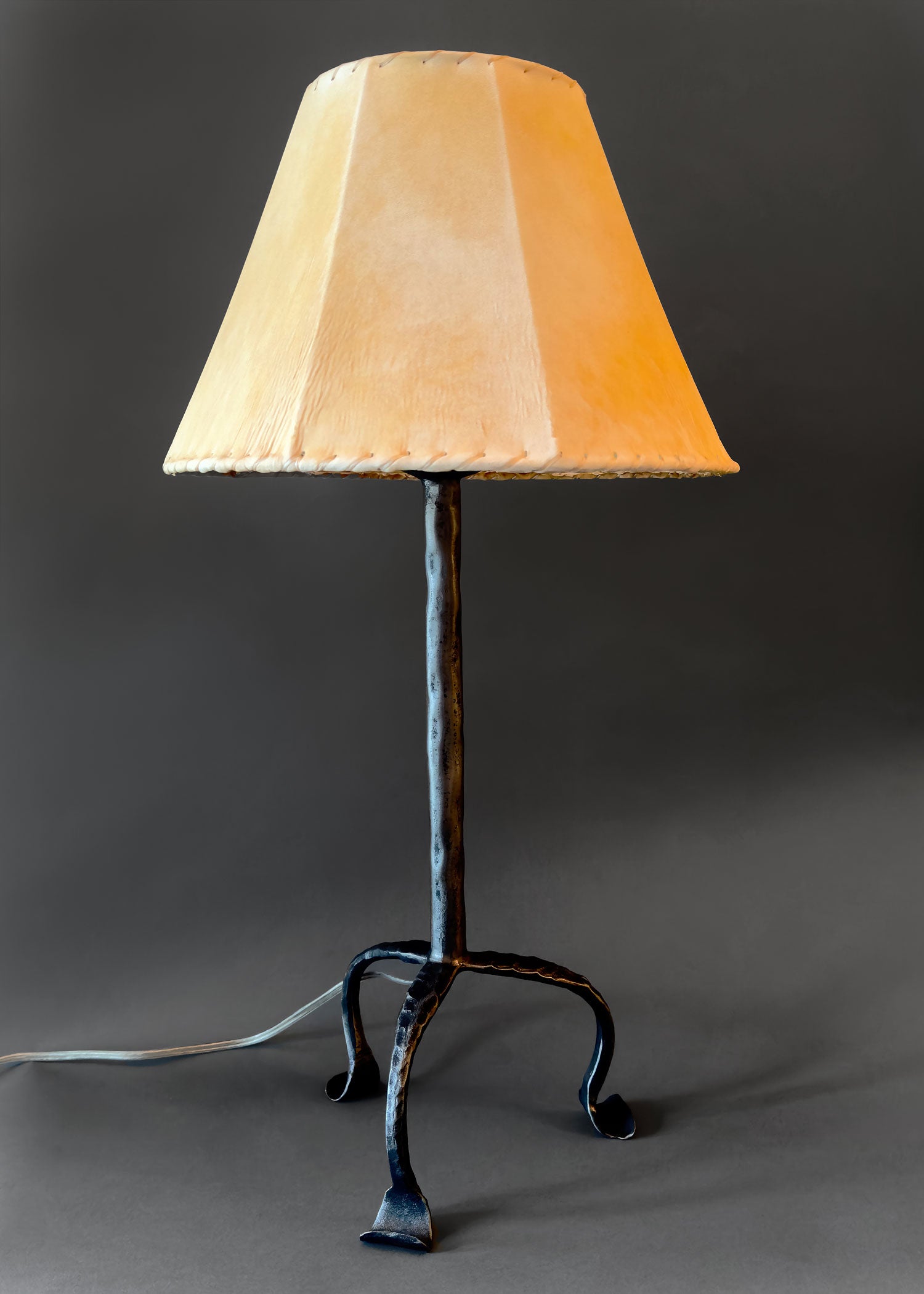 Wrought Iron bedside Simply Santa Fe lamp with a raw hide sheepskin shade.