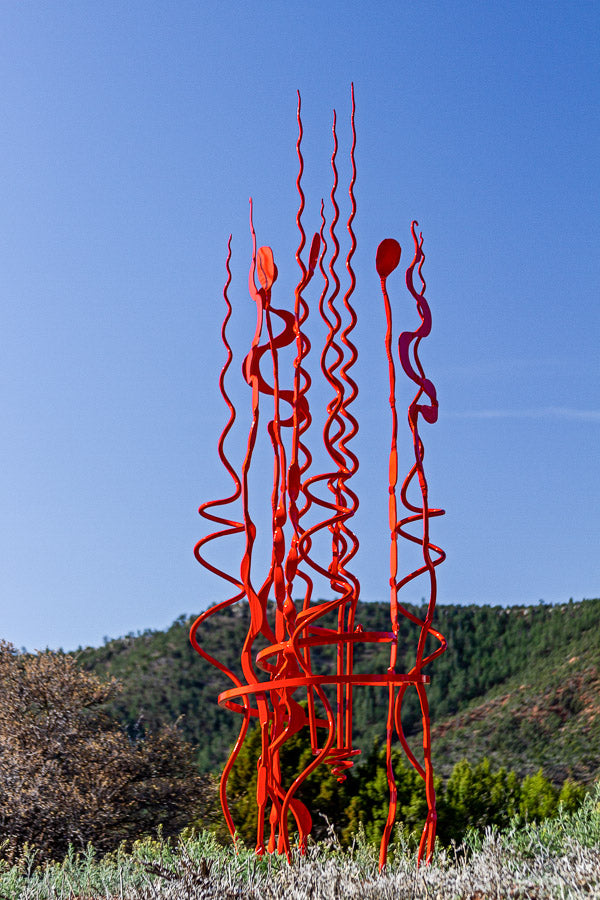 Collection Image