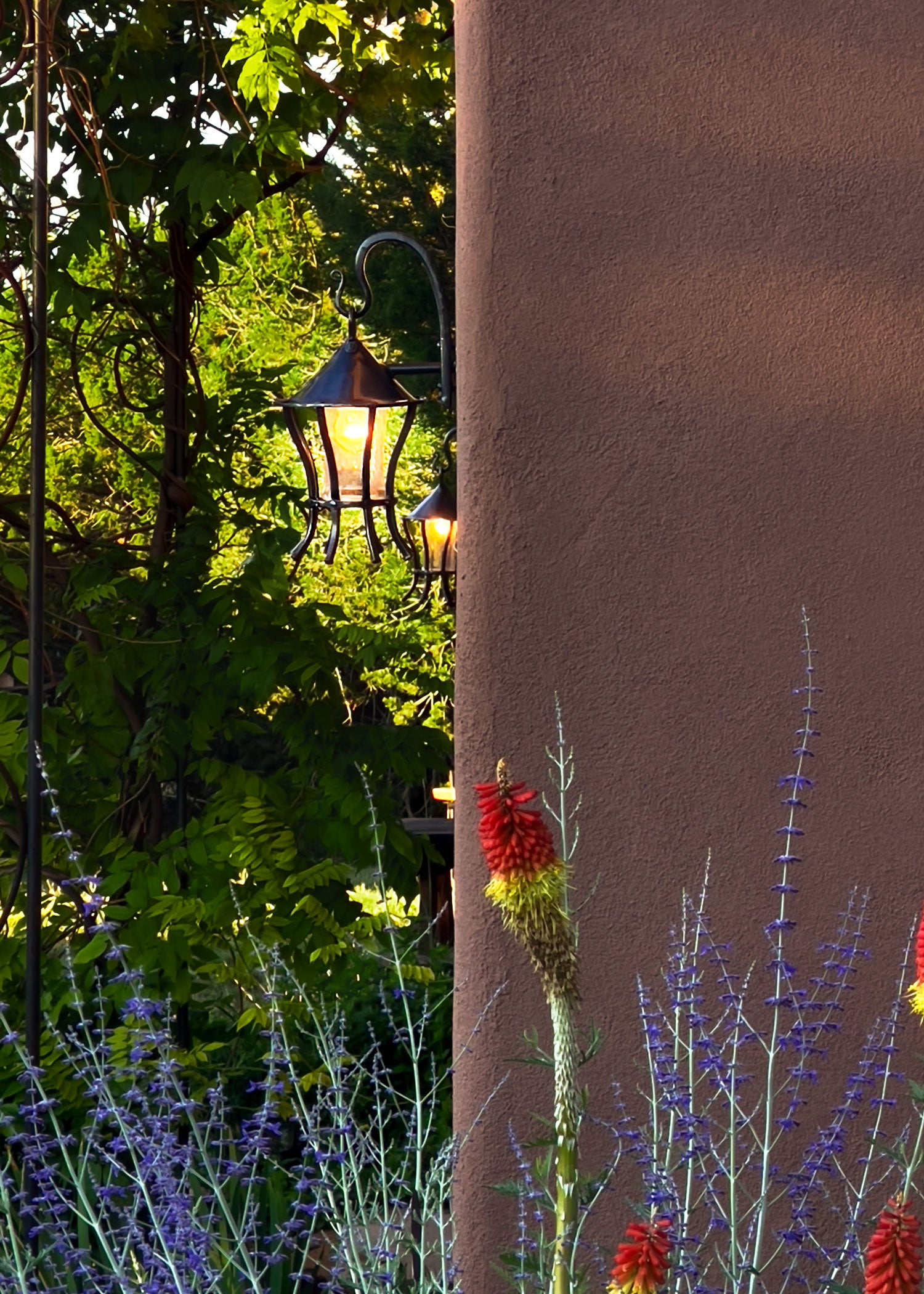 Decorative outdoor wrought iron lantern hanging on an adobe wall with plants and flowers in the foreground