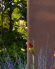 Decorative outdoor wrought iron lantern hanging on an adobe wall with plants and flowers in the foreground